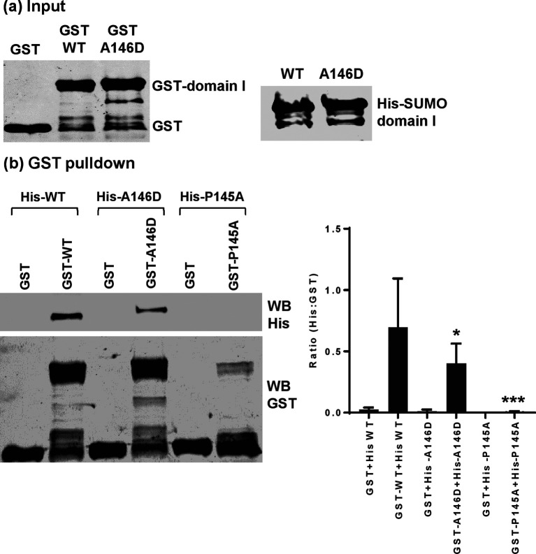 Fig. 8.