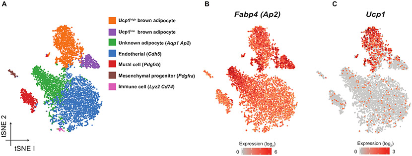 Figure 4: