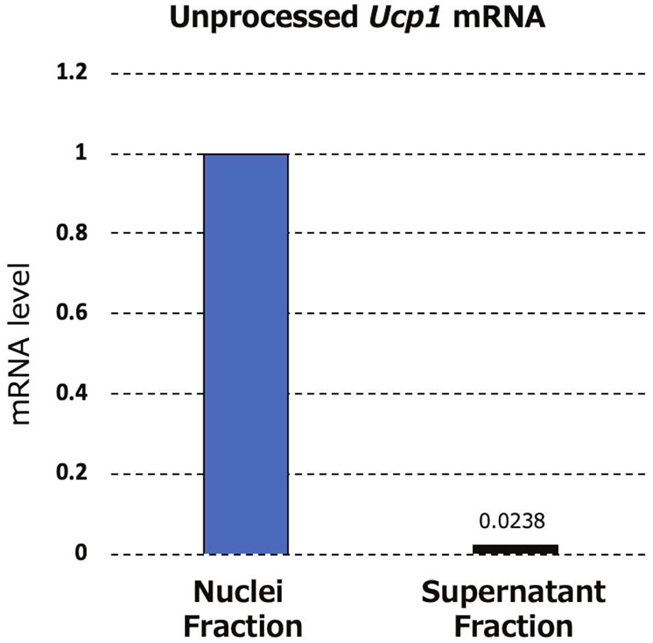 Figure 3: