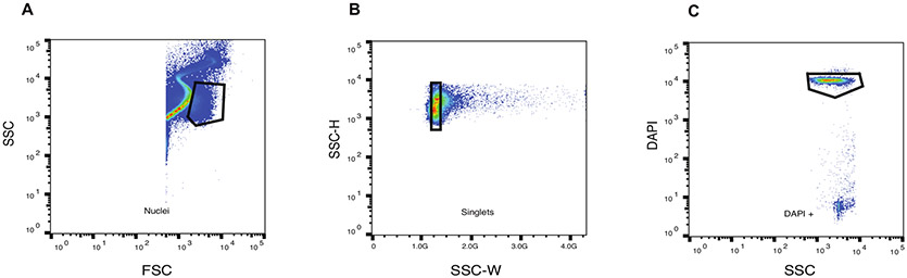 Figure 1: