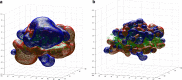 Fig. 10