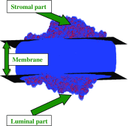 Fig. 5
