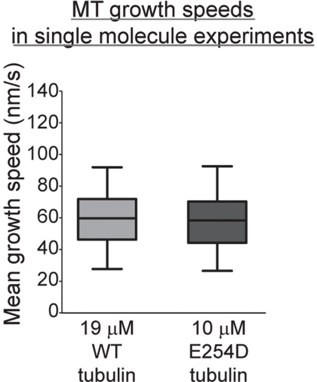 Figure 4—figure supplement 3.