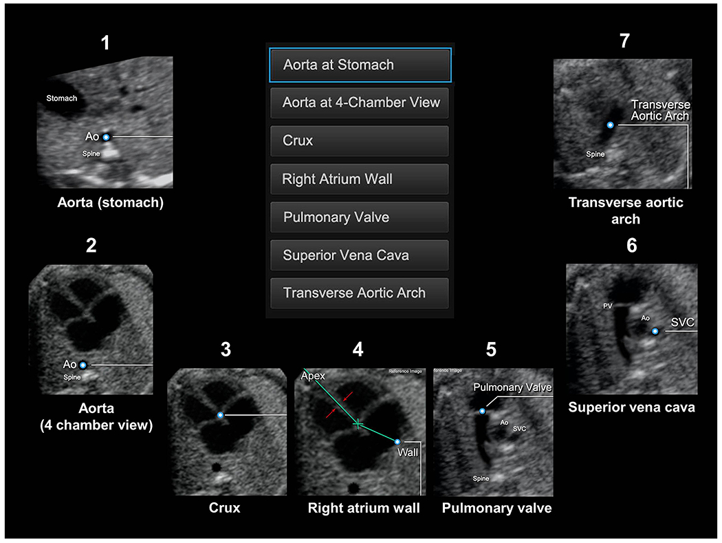 Figure 1: