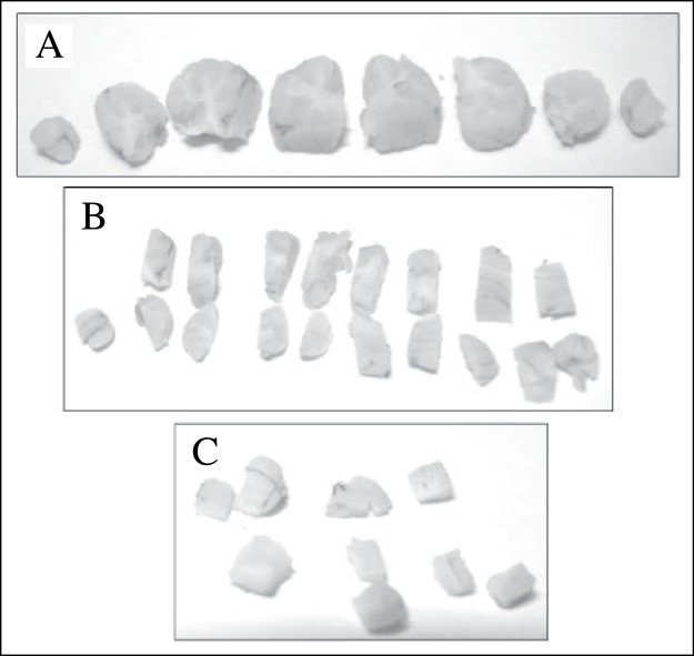 Figure 1 :