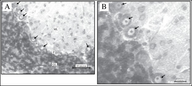 Figure 2 :