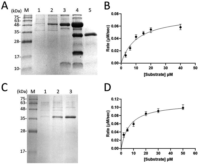 FIG 1