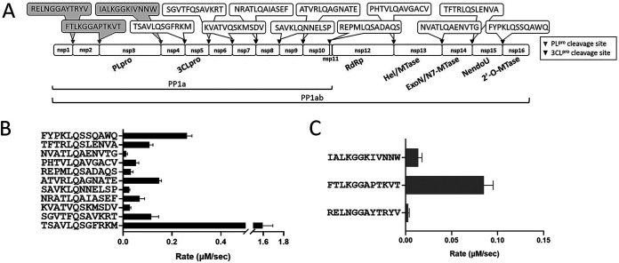 FIG 2