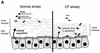 FIG. 6.