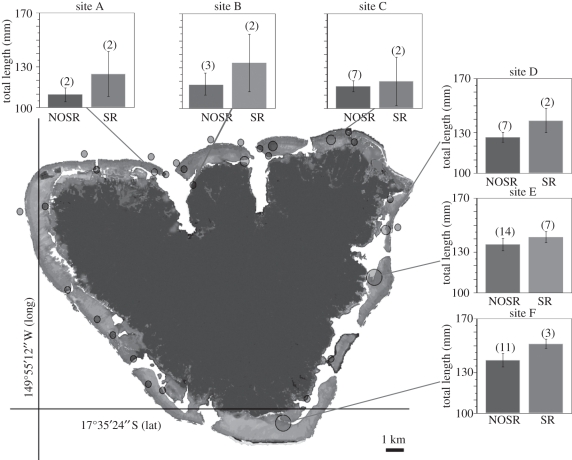 Figure 1.