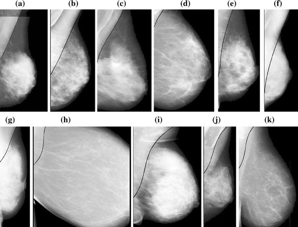 Fig. 6