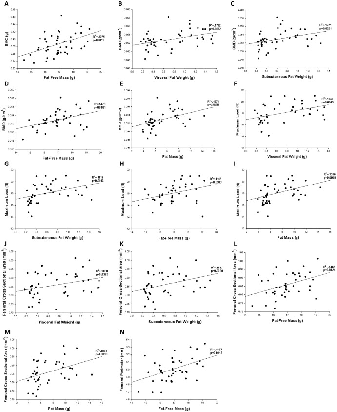 Fig 13