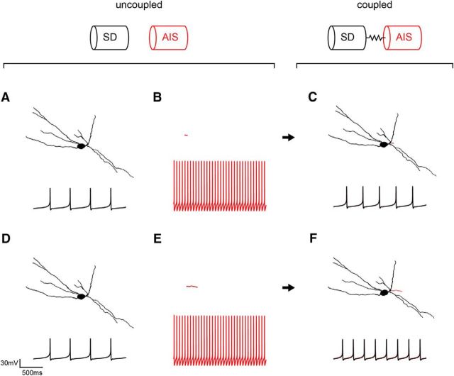 Figure 6.