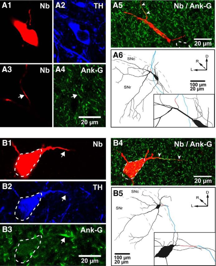 Figure 2.