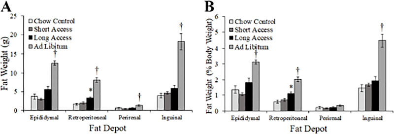 Fig. 9.