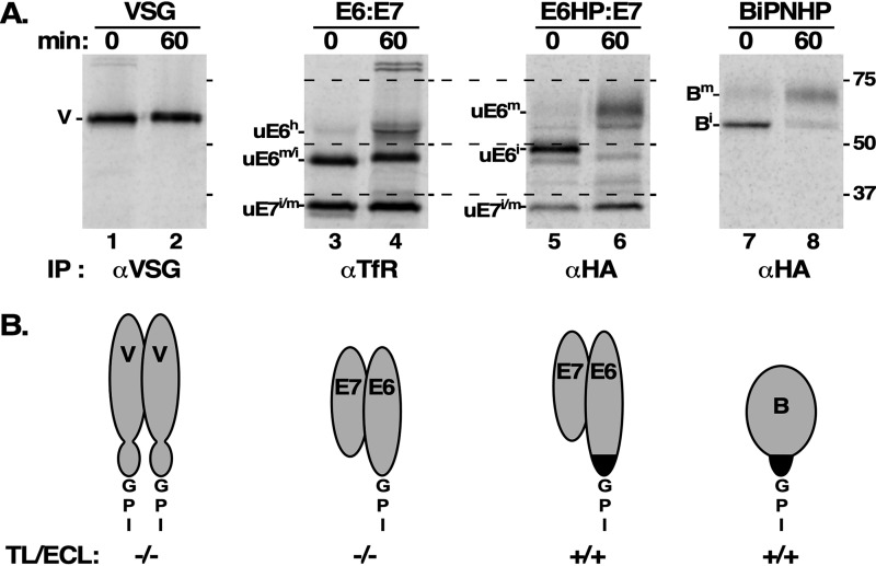 Figure 9.