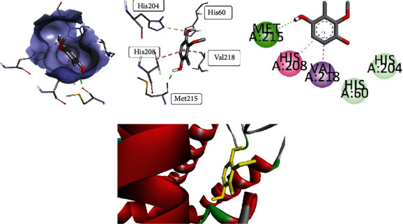 Figure 4