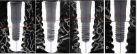Fig. 9