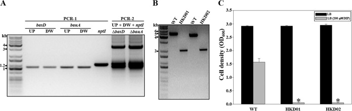 FIG 3