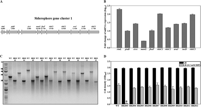 FIG 4