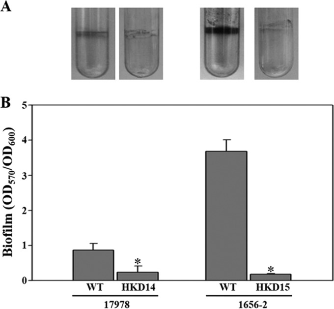 FIG 7