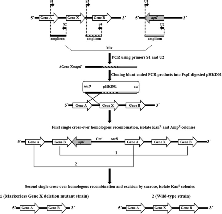 FIG 2