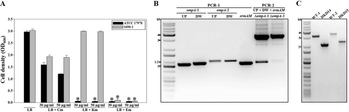 FIG 6