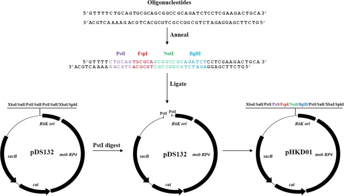 FIG 1