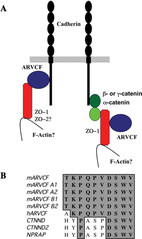 Figure 9.