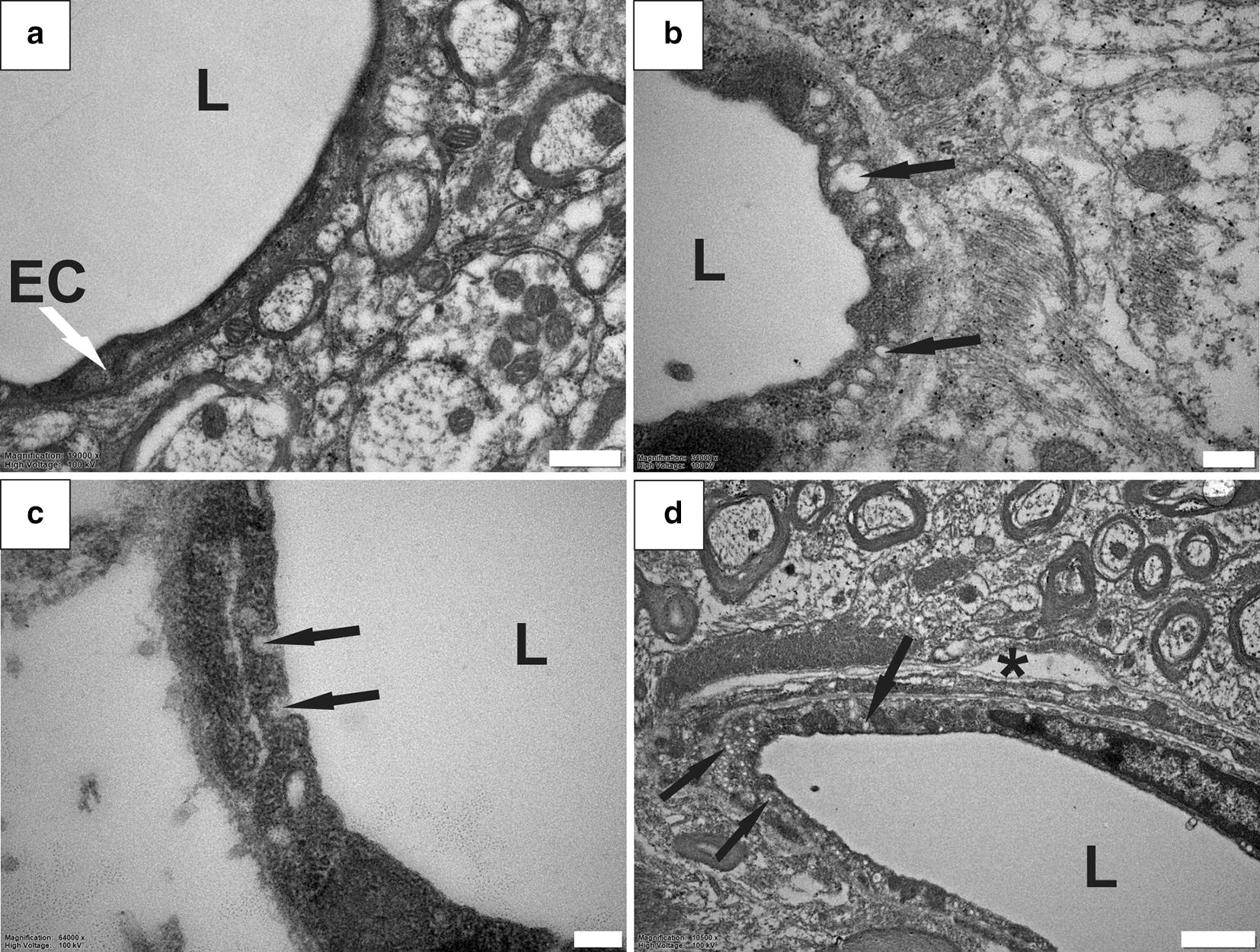 Fig. 4