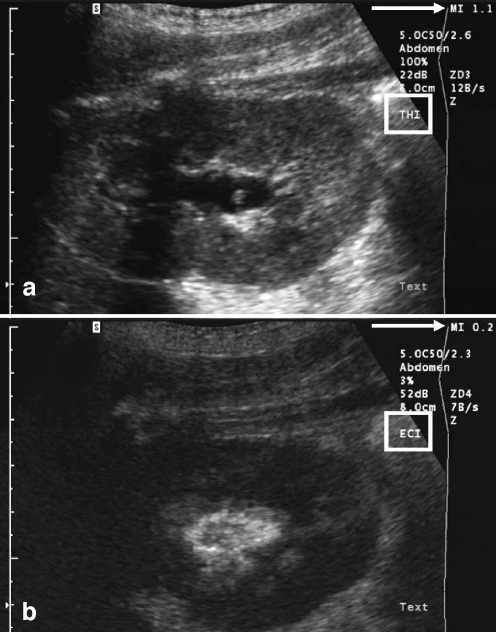 Fig. 7