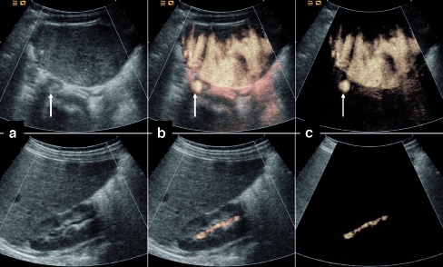 Fig. 3