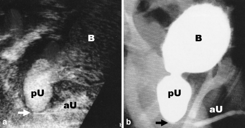 Fig. 5