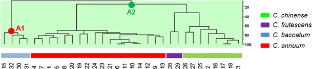 Fig. 1