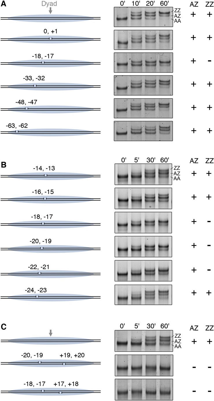 Figure 3.