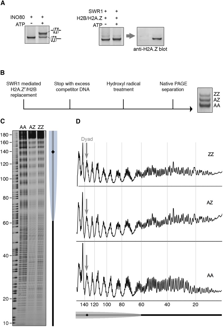 Figure 4.