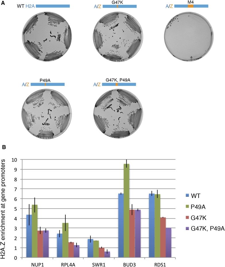 Figure 1—figure supplement 2.