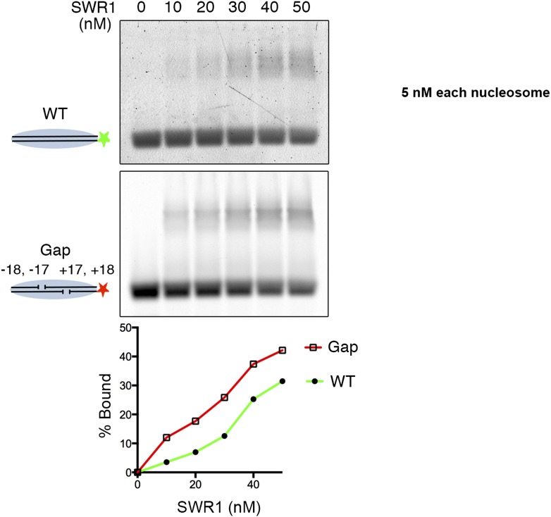 Figure 3—figure supplement 1.