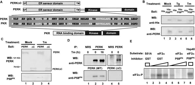 Fig 2.