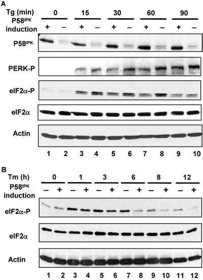 Fig 4.