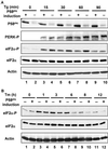 Fig 4.