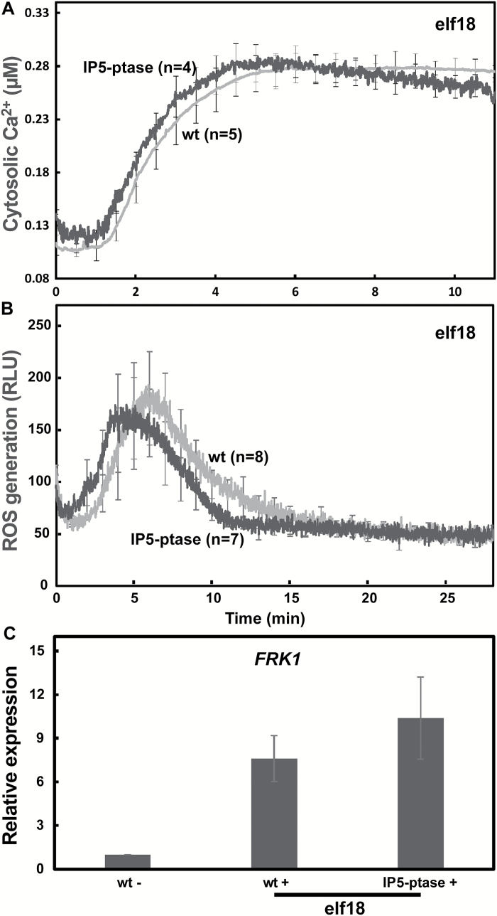 Fig. 8.