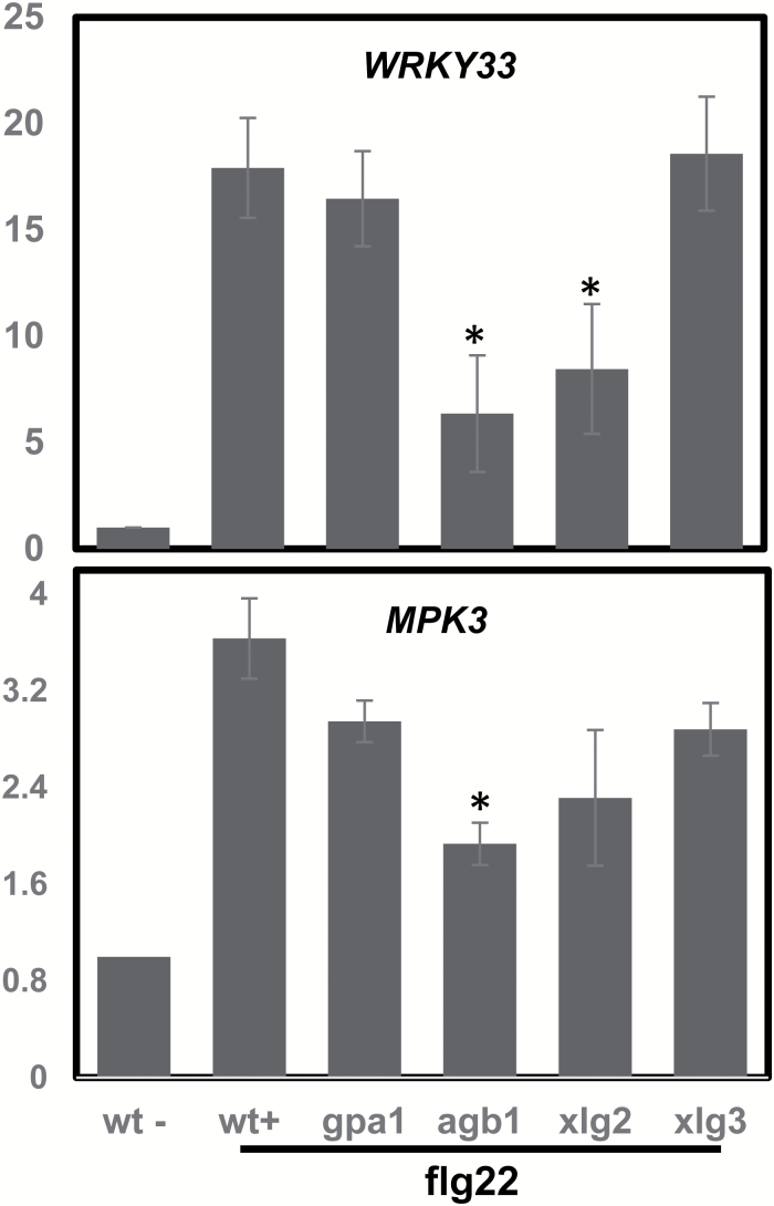 Fig. 7.