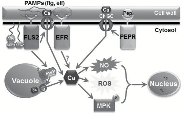 Fig. 10.