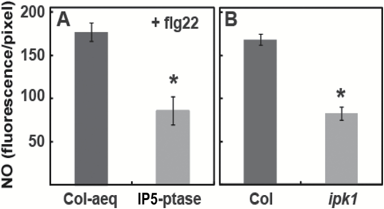 Fig. 5.