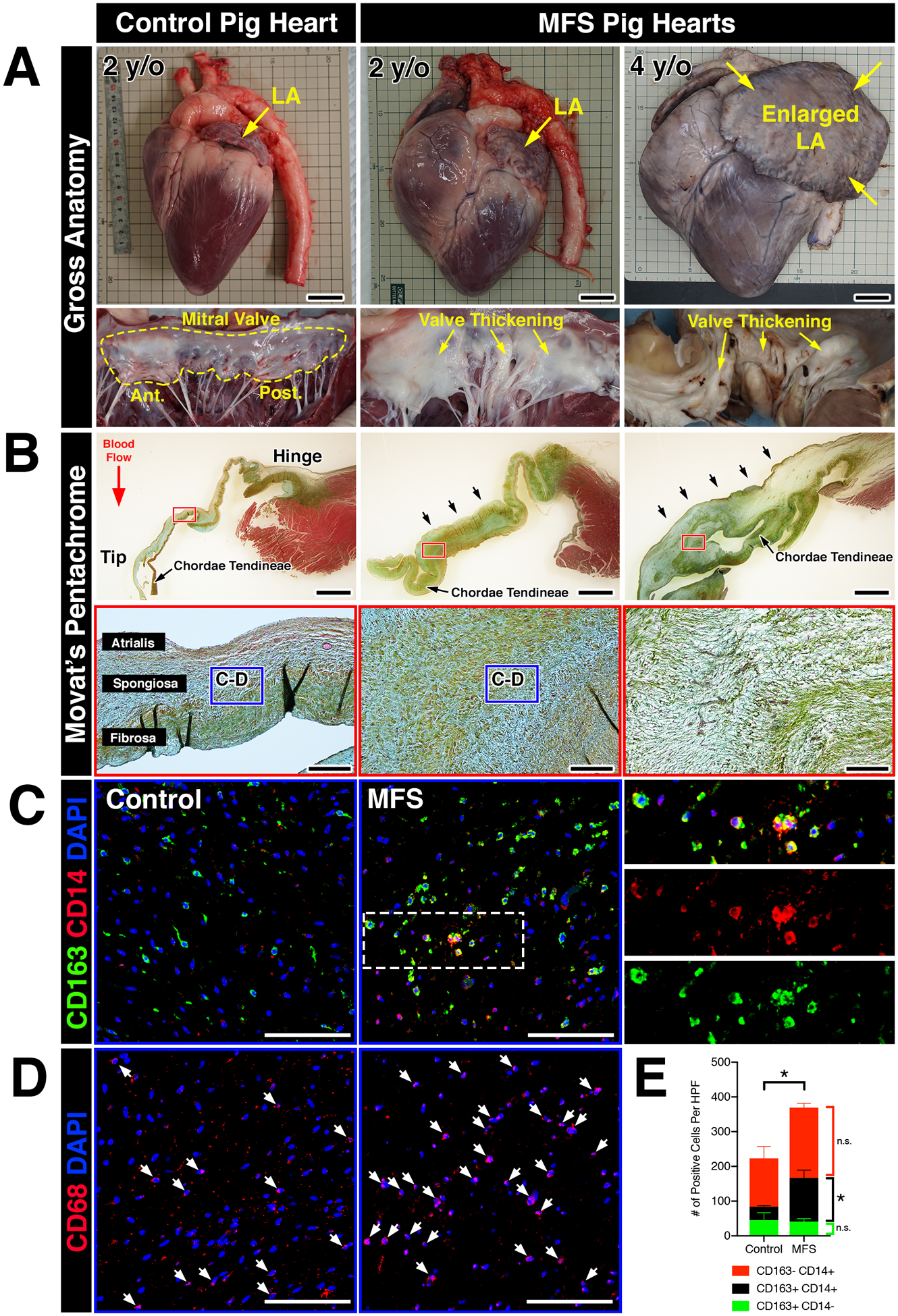 FIGURE 3: