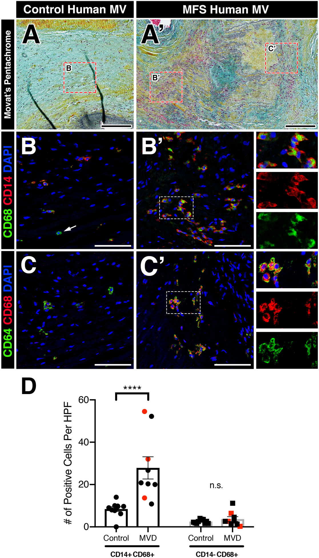 FIGURE 4: