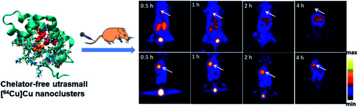 Fig. 12