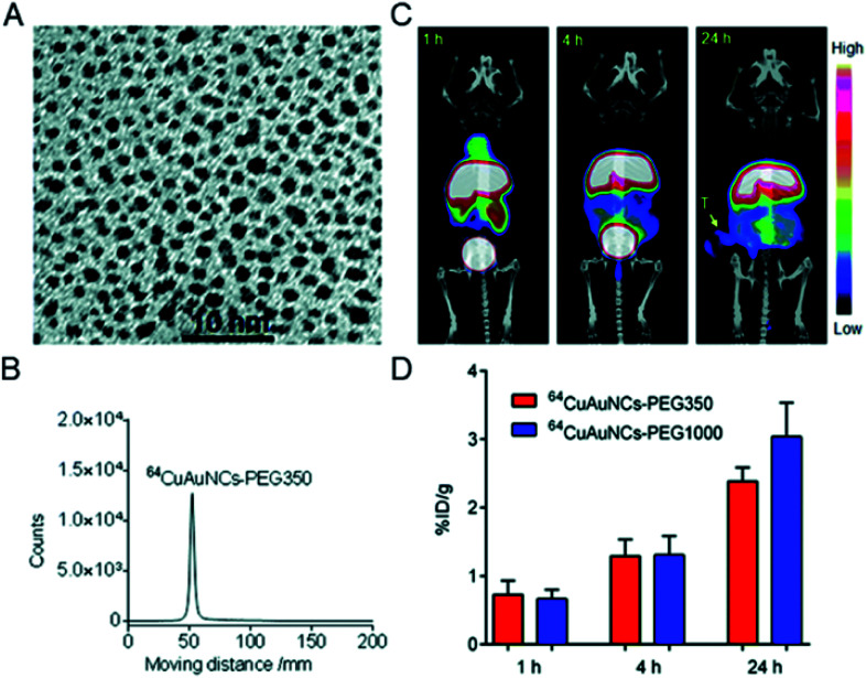 Fig. 13