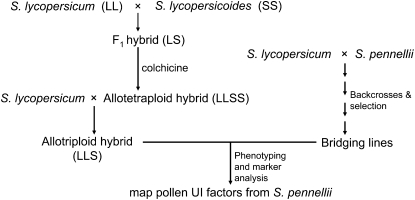 Figure 1.—